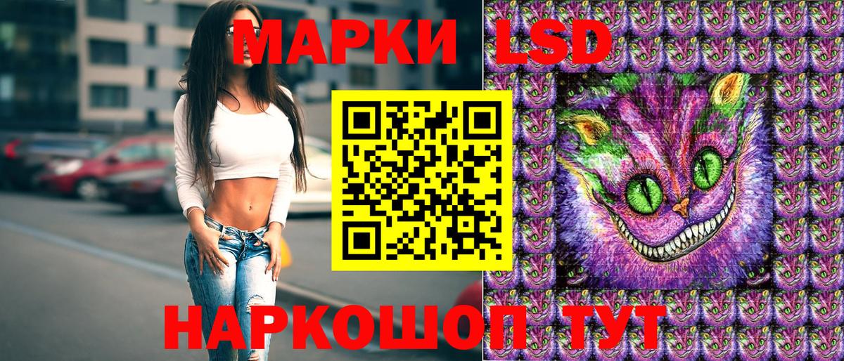Марки N-bome 1,8мг  Вход с VPN  дарнет шоп  Камышлов 