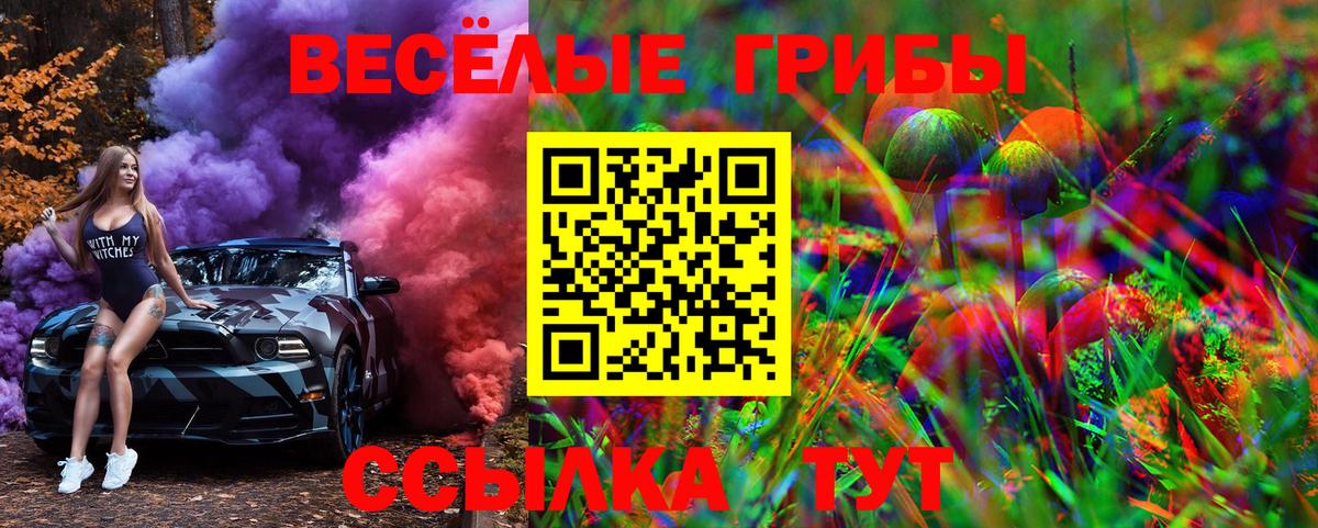 Галлюциногенные грибы Magic Shrooms Камышлов