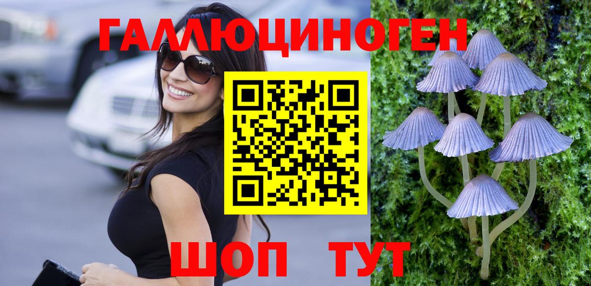 Продажа наркотиков  Камышлов  Вход с VPN  Бошки Шишки  Кокаин  Меф   ГАШИШ 